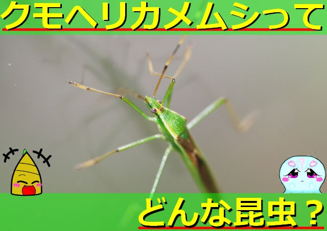 Thumbnail of post image 049